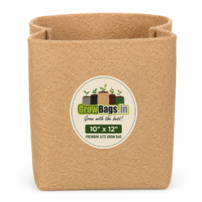 10 x 12 Premium Jute Grow Bag