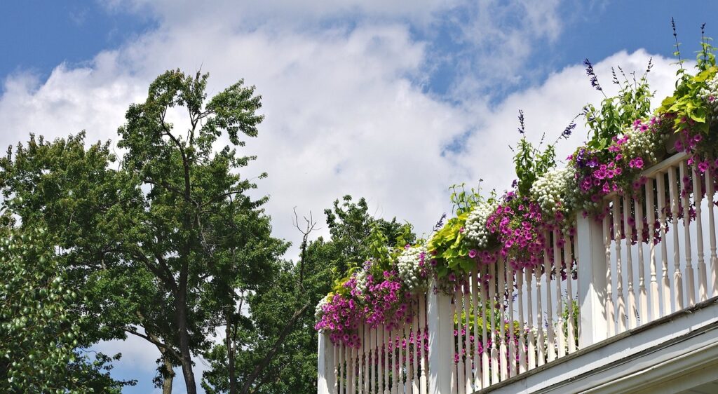 Balcony Gardening Made Easy with Grow Bags