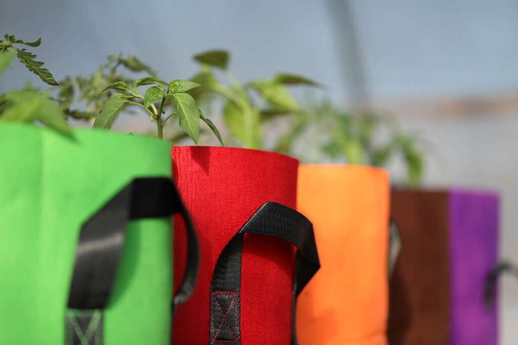 Grow Bag Gardening Tips The Do's and Don'ts