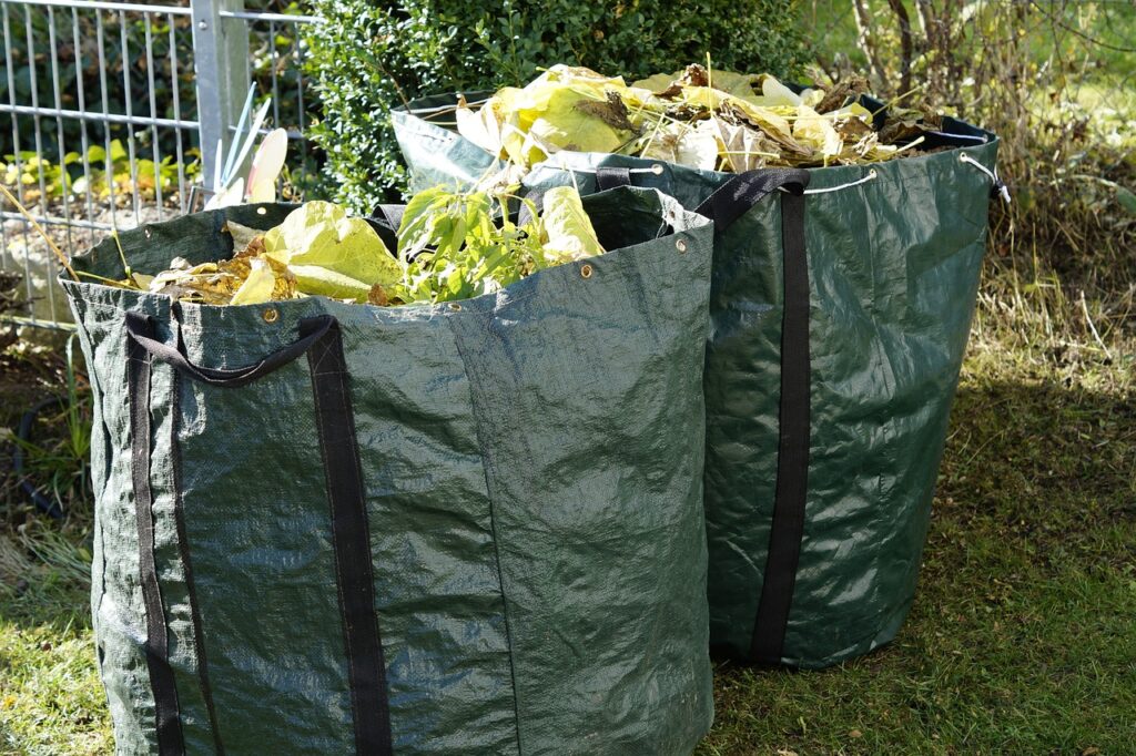 January Gardening in North India What to Grow in Grow Bags