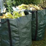January Gardening in North India What to Grow in Grow Bags
