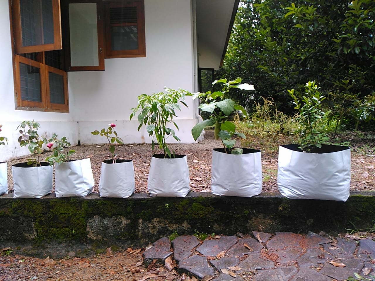 Buy Jute Grow Bags Online at Best Prices In India - Gardengram