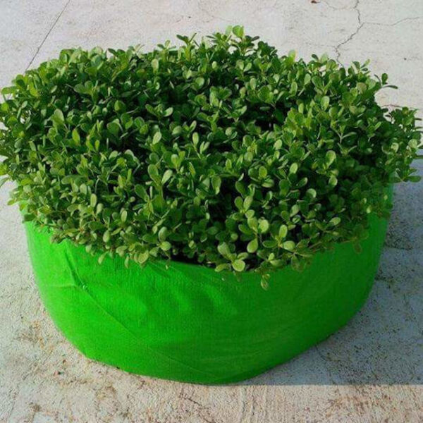 HDPE Spinach Grow Bags