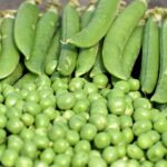 Get the most out of your garden with rectangular grow bags for growing delicious, fresh peas