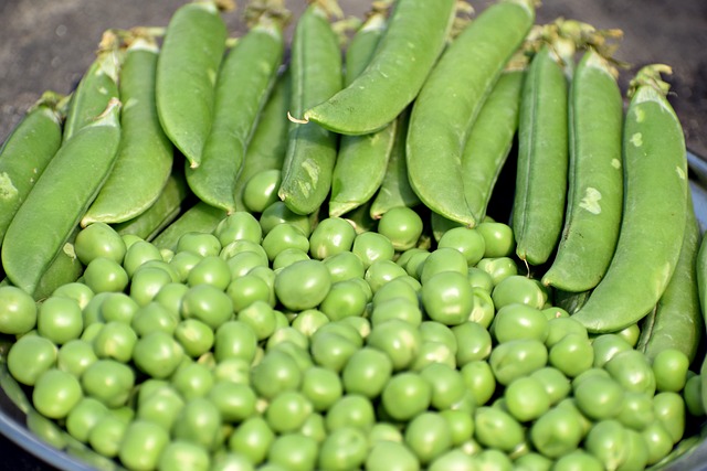 Get the most out of your garden with rectangular grow bags for growing delicious, fresh peas