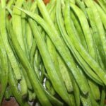 Growing French Beans in Grow Bags