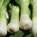 Harvesting Salad Onions at Home with Grow Bags