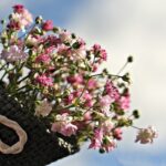 Identifying and Treating Plant Diseases