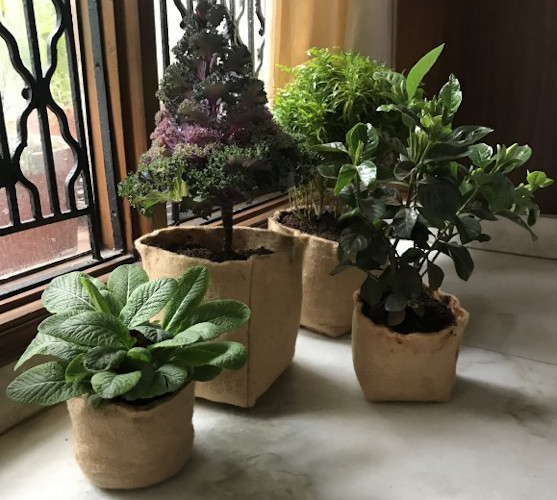 Jute Grow Bags For Your Plants Eco Friendly And Stylish Grow Bags