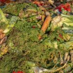 Transforming Kitchen Waste into Nutrient-Rich Compost