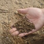 Understanding the Different Types of Soil