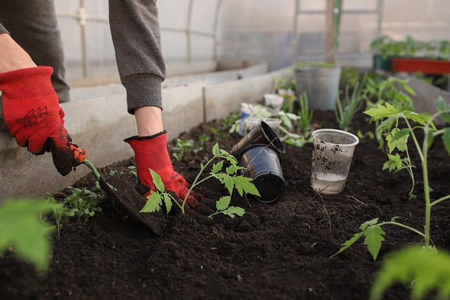 Organic potting mix for sustainable gardening