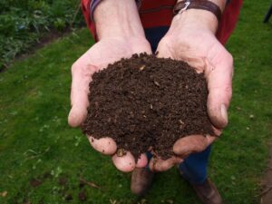 vermicompost can help to improve soil structure and water-holding capacity