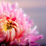 Gardening can benefit your mental health