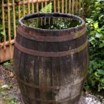 Rainwater Harvesting - The Key to Healthy and Bountiful Container Gardens