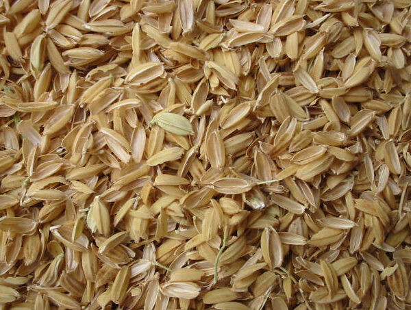 Rice hulls are an excellent choice for improving soil aeration and drainage