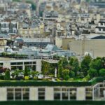 Tips for Starting a Terrace Garden