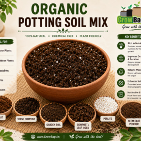 Organic Potting Soil Mix | Nourish Your Plants Naturally - 25 Kg