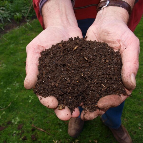 Buy 100% Organic Vermicompost for Healthier Plants Online