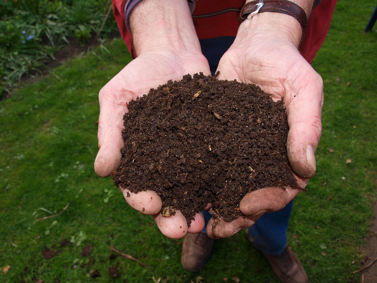 Buy 100% Organic Vermicompost for Healthier Plants Online