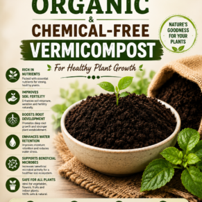 Organic & Chemical-Free Vermicompost for Healthy Plant Growth