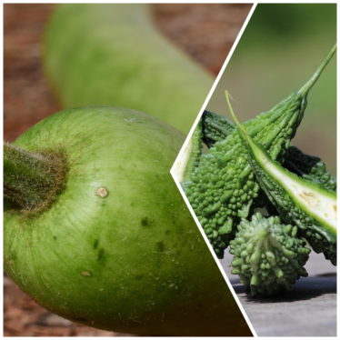Grow Lauki & Karela in Grow Bags During Monsoon