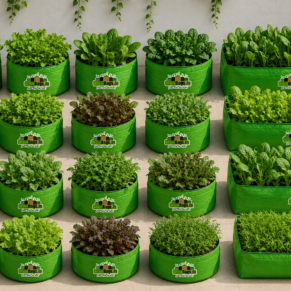 HDPE Spinach Grow Bags